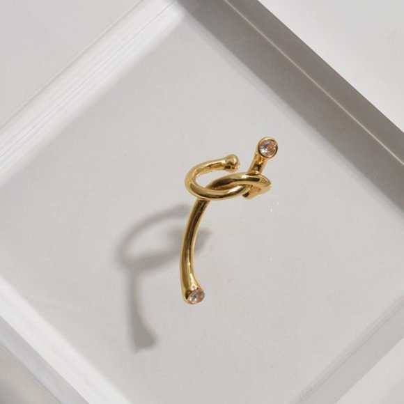 Niche Twisted Rope Knotted Zircon Earring ZB1104322 - Picture 4 of 4